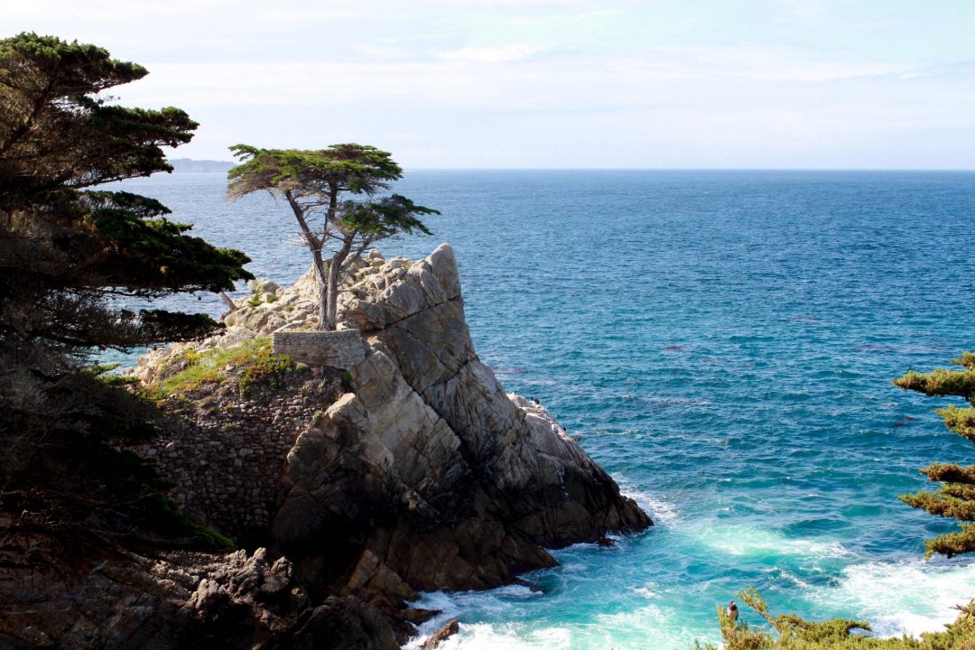 17 mile drive at pebble beach lone cypress tree