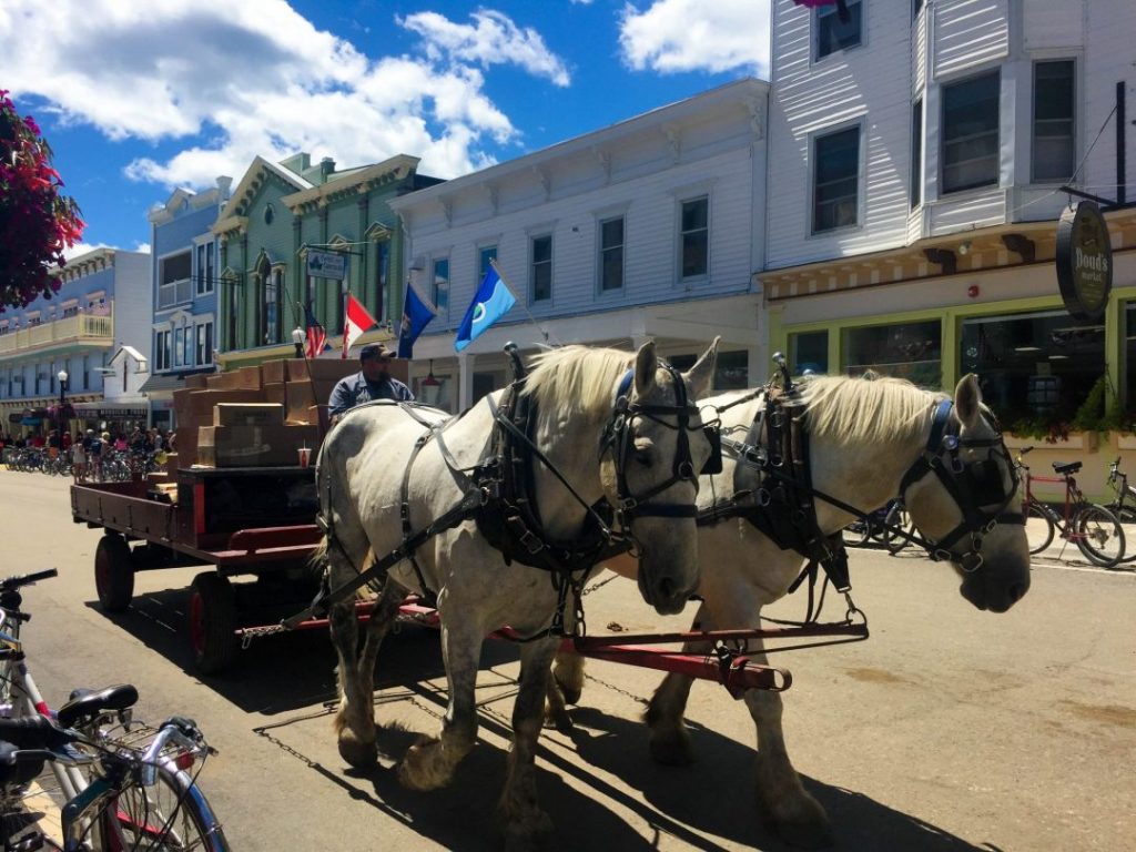 two horses pulling a buggy delivering packages on mackinac island, one of the best spring break destinations in the us