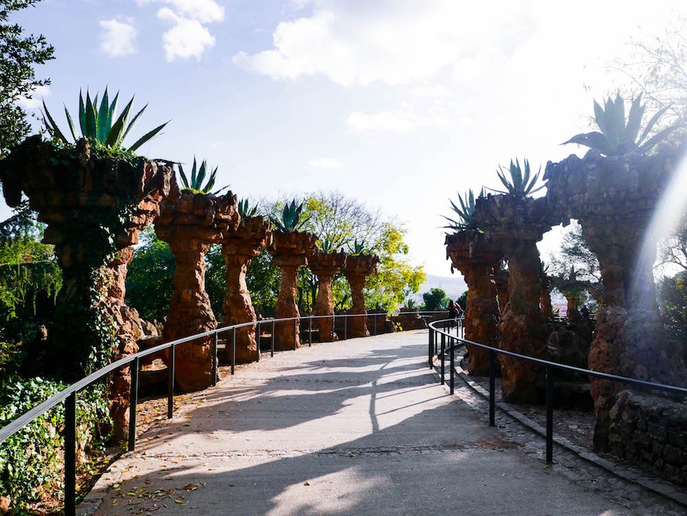Succulents Park Guell Barcelona Spain