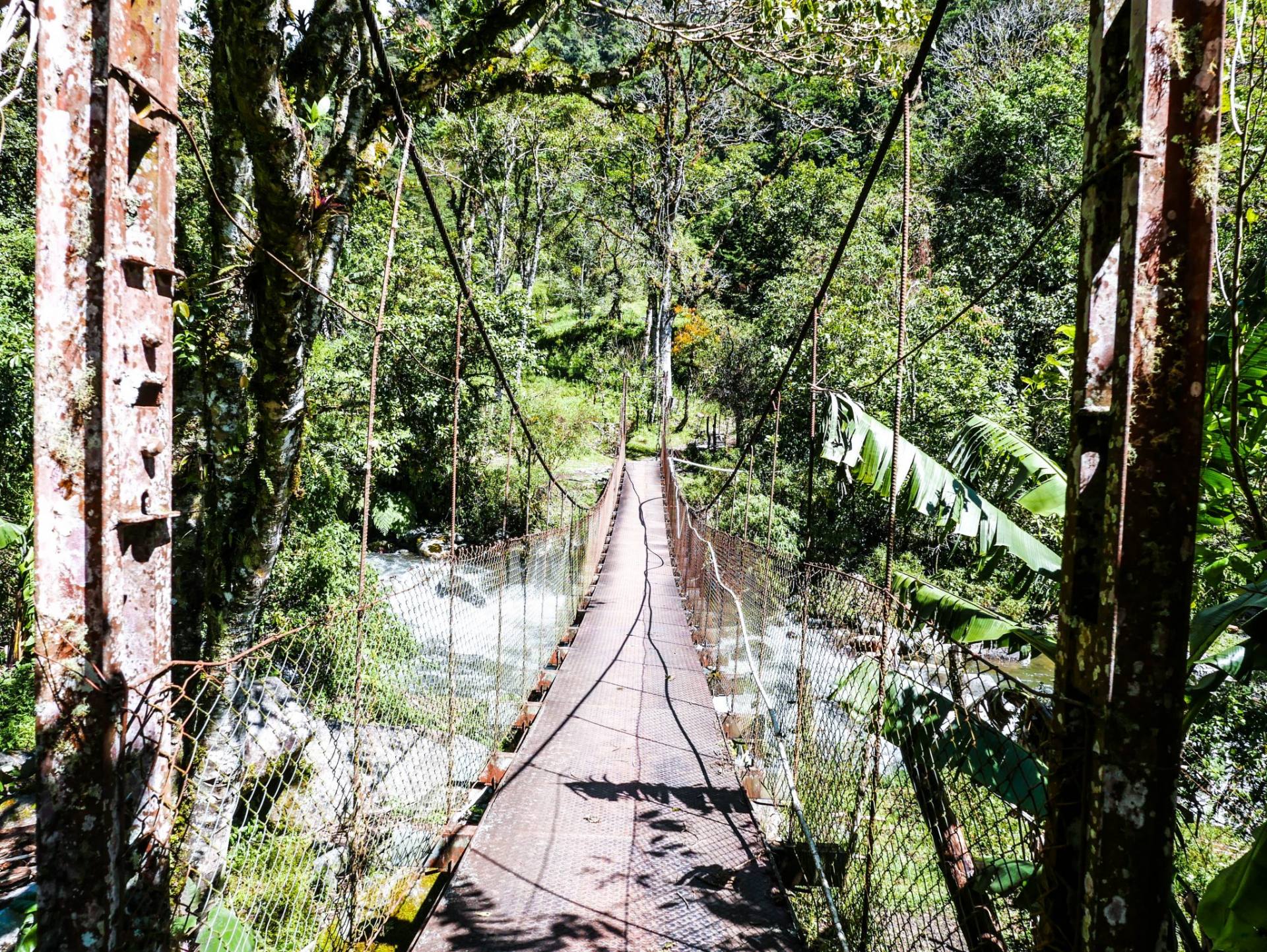 Hiking the Lost Waterfalls trail in Boquete, Panama is an absolutely more. Read this post to find out all about Boquete's best hike!
