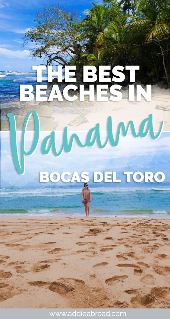 2 of the best beaches in Panama are just a short, stunning hike apart. Learn all about how to hike from Wizard Beach to Red Frog Beach on Isla Bastimentos. One of the best things to do in Bocas del Toro, Panama!