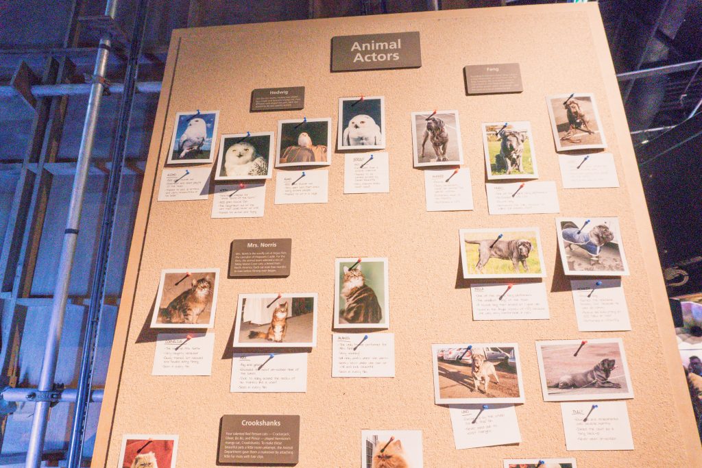 Information board about the animal actors at Warner Bros Harry Potter Studio Tour London