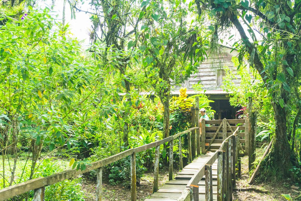 The rustic pathway leading to Don Pedro's in La Fortuna, Costa Rica