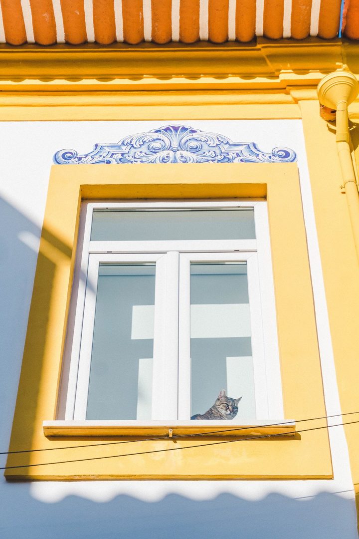 A cat looking out a yellow-bordered window in Aveiro, Portugal