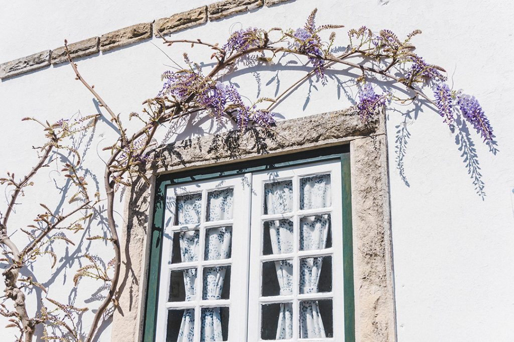 Purple flowers hanging over a window in Obidos, Portugal