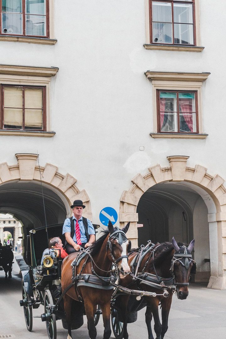 A horse drawn carriage in Vienna, Austria