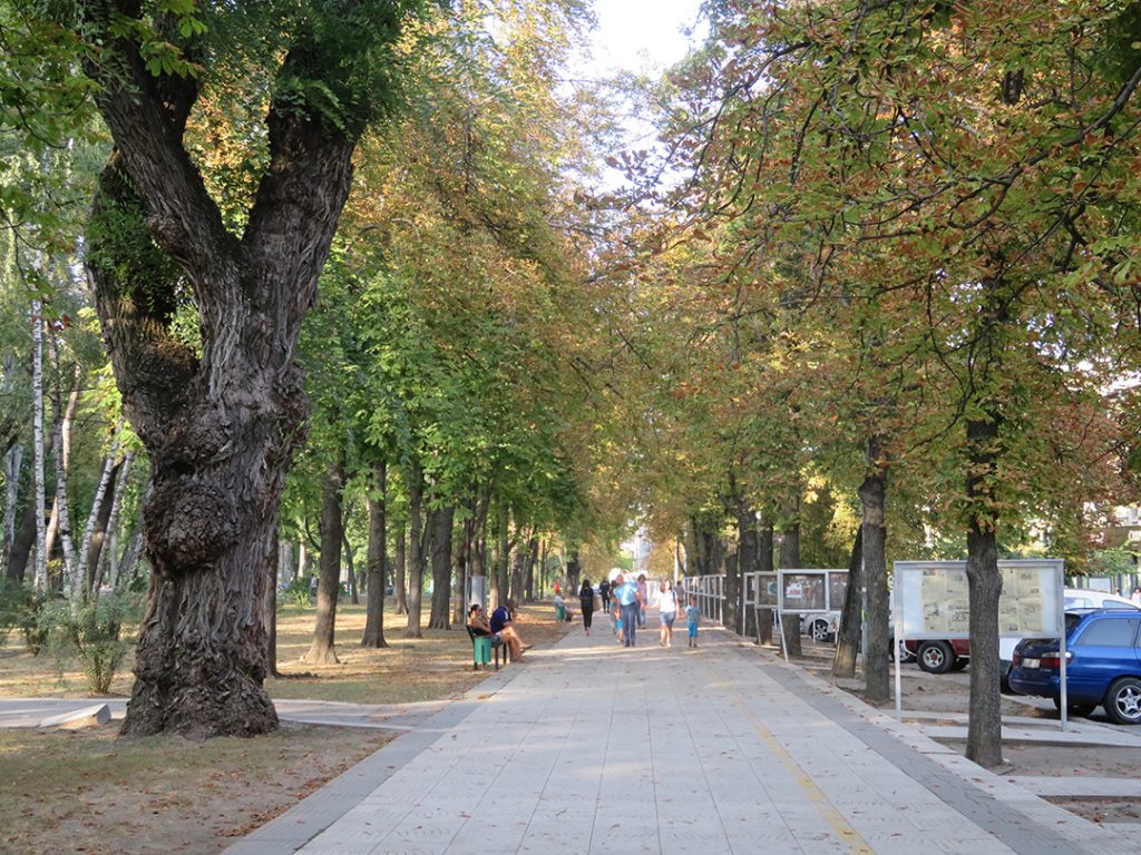 A pathway lined by trees in Chisinau, Moldova