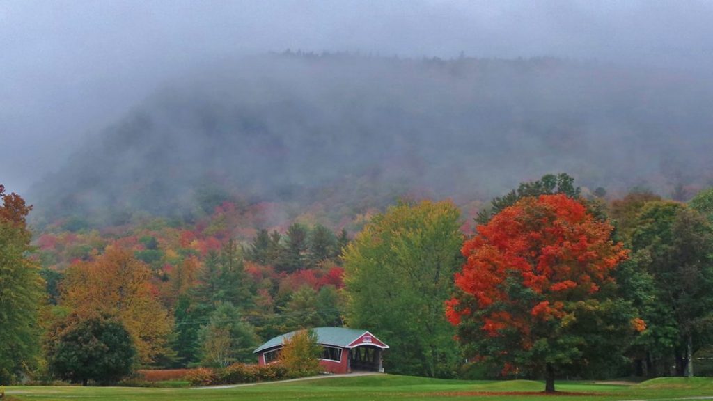 Fall trees and fogs in the White Mountains, New Hampshire