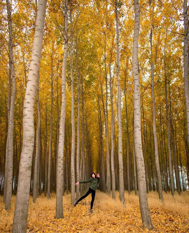 A girl dancing in a tree farm in Oregon