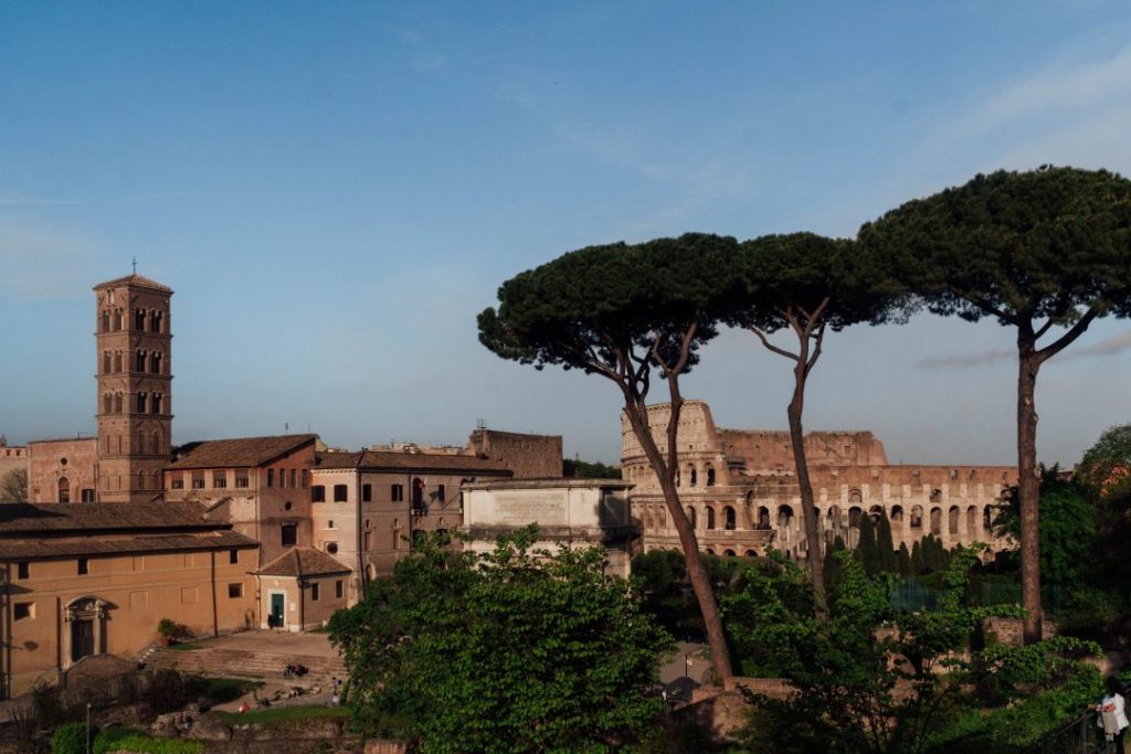 looking out at the colosseum from the palatine hill with cypress tress in the foreground