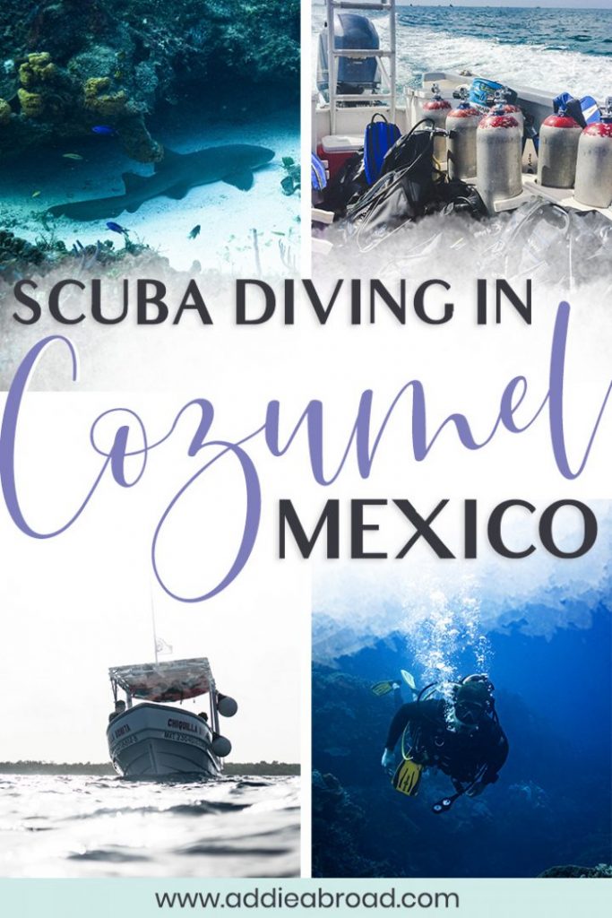 Are you planning on taking a trip to Cozumel Mexico? Whether you're there for days on the beach or only a day on a cruise, you can't miss the amazing Cozumel scuba diving. It's by far the best out of all the things to do in Cozumel! Click through to read the COMPLETE guide to scuba diving in Cozumel, Mexico! #scubadive #mexico #travel