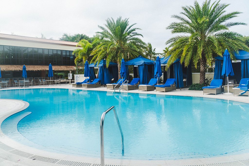 a pool with bright blue water, blue lounge chairs, and palm trees