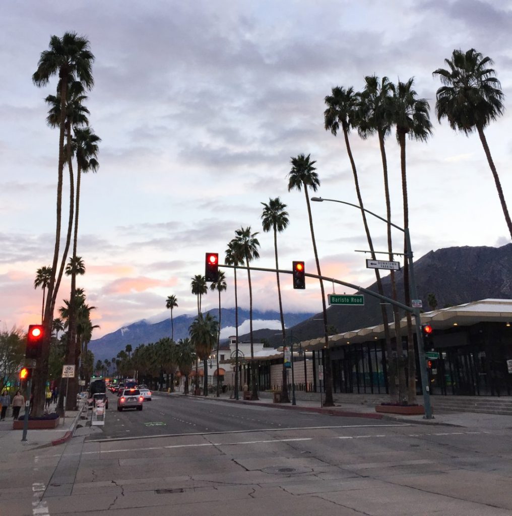 palm trees lining a street in palm springs