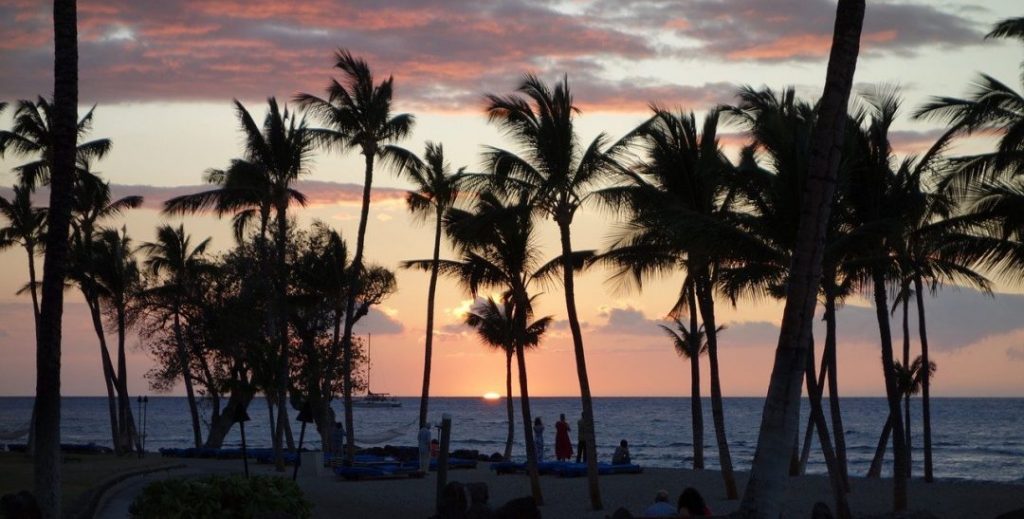 palm trees at sunset in Kona, Hawaii