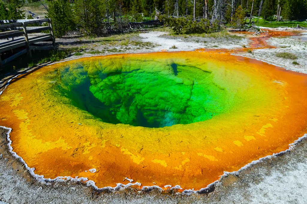 The Morning Glory in Yellowstone National Park - national parks pictures
