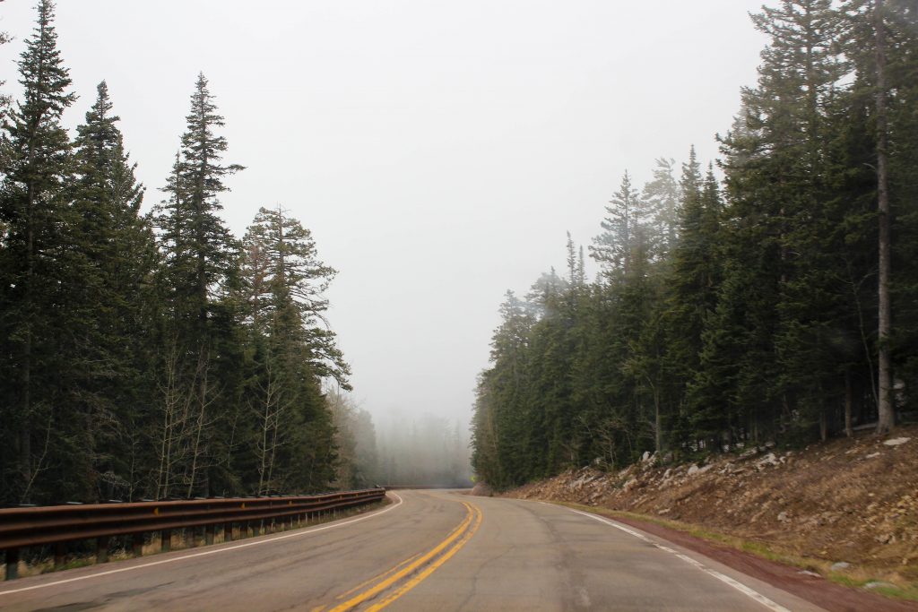 Road and pine trees at Sandia Crest Albuquerque New Mexico