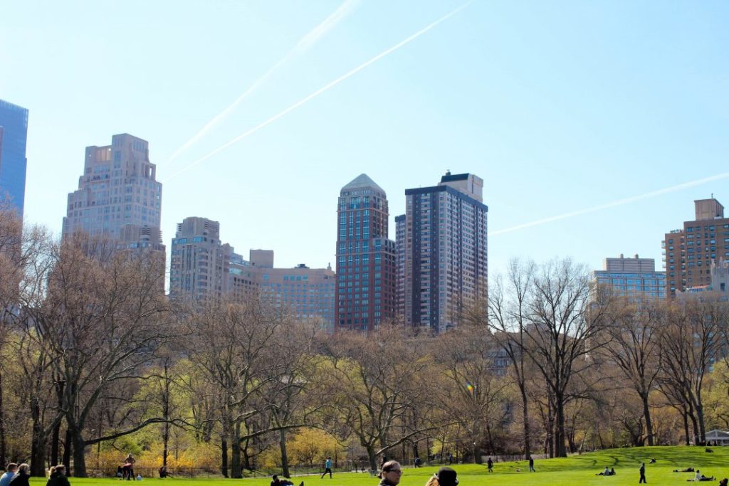 Spring in Central Park, New York City