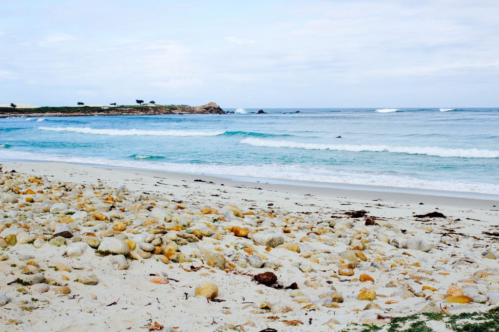 a rocky beach on the 17 mile drive at pebble beach