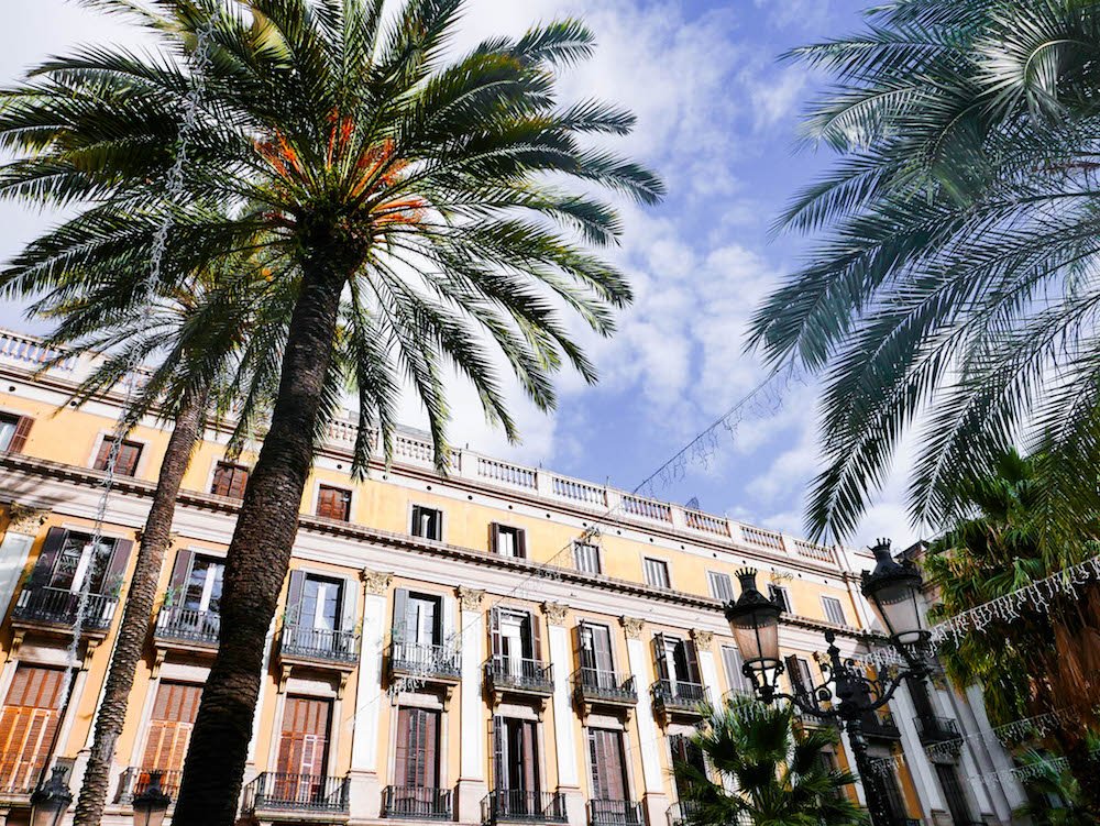 Palm Trees and a yellow building in the Plaça Reial Barcelona Spain