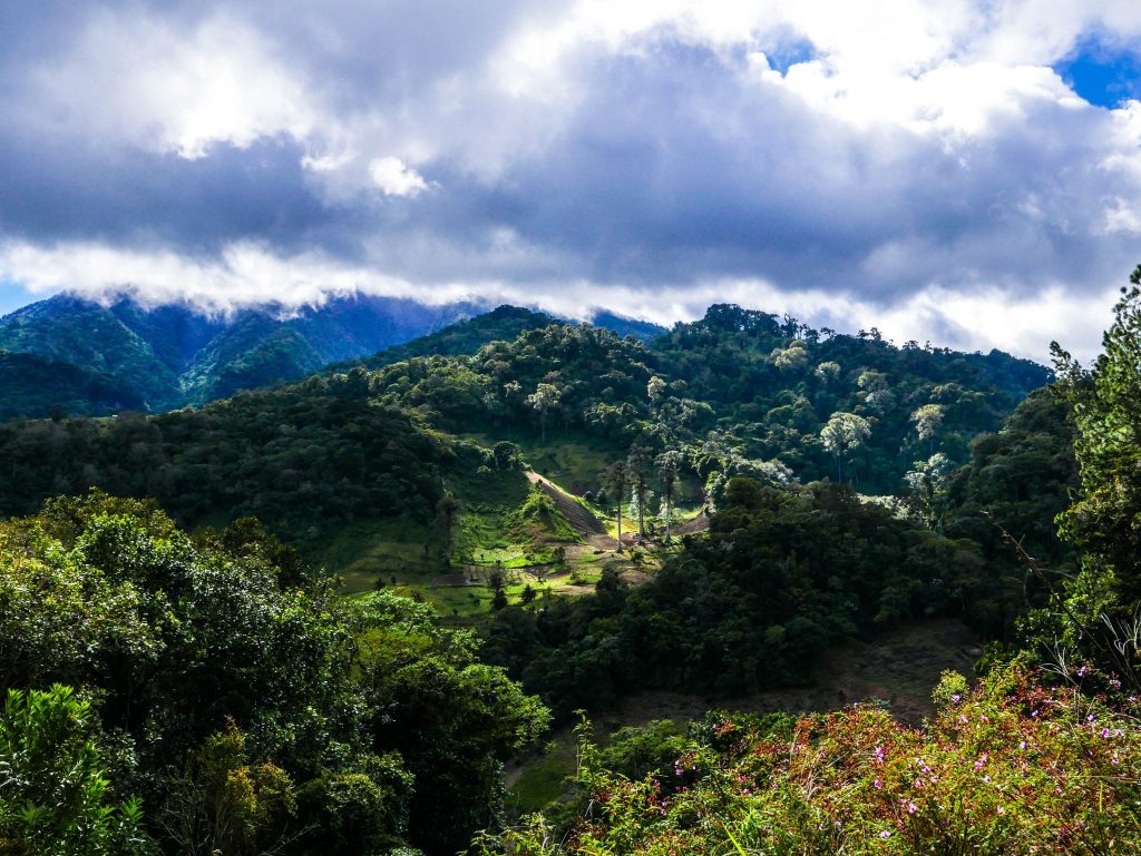 Finding the Lost Waterfalls of Boquete, Panama - Addie Abroad