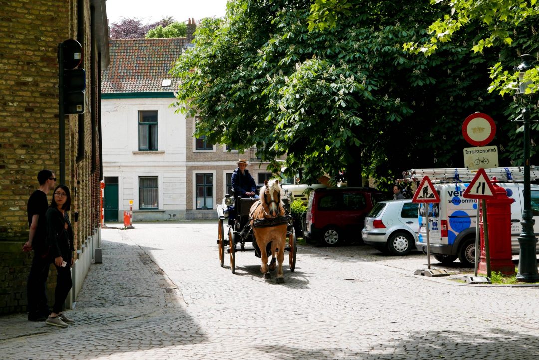 Bruges Horse and Carriage