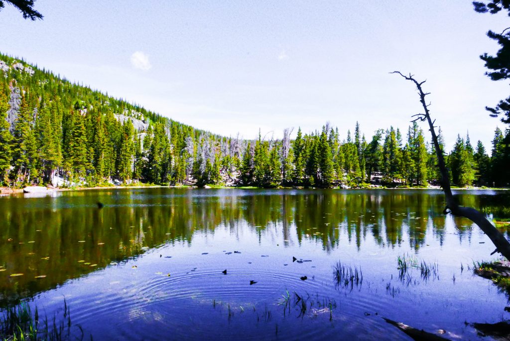 Nymph Lake Rocky Mountain National Park
