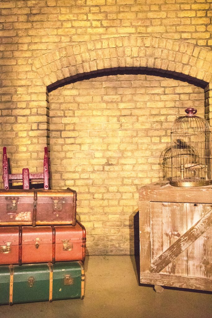 Luggage and Bird Cage King's Cross Warner Bros Harry Potter Studio Tour London
