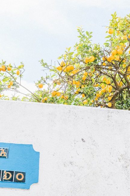 A lemon tree peeking over a wall in Obidos, Portugal
