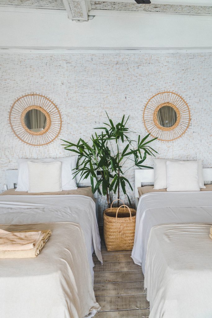 two twin beds against a white wall with a plant in between