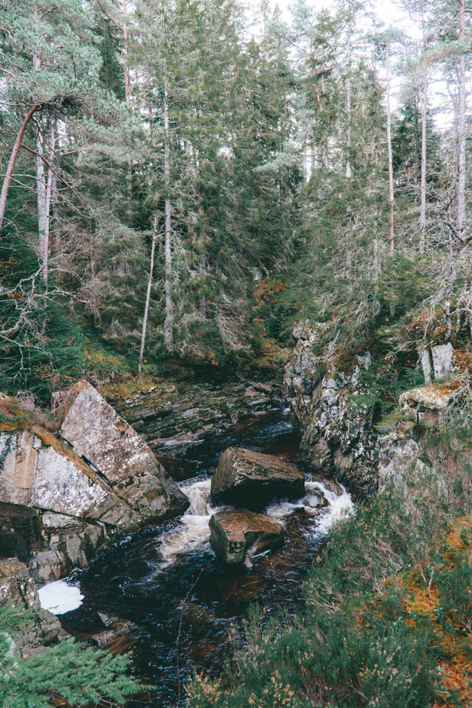 a small waterfall in the woods