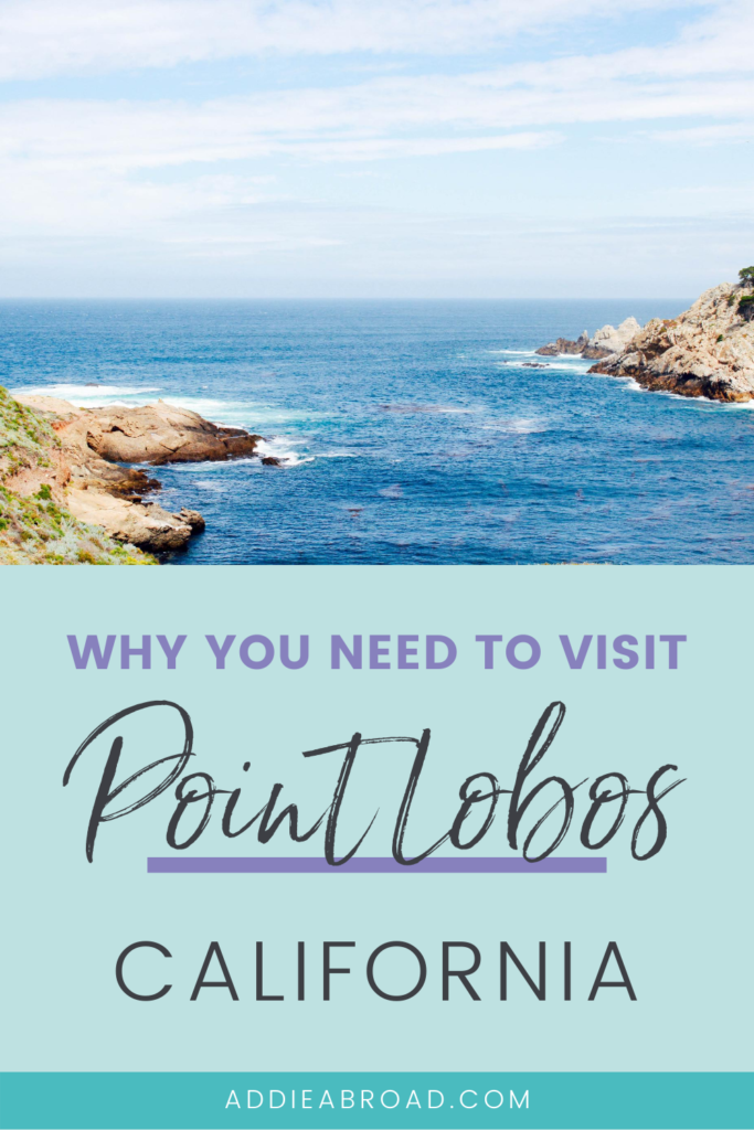 Planning a road trip down Highway 1? Point Lobos State Natural Reserve is a hidden gem near Big Sur you simply must visit! Click through to learn more about Point Lobos California.