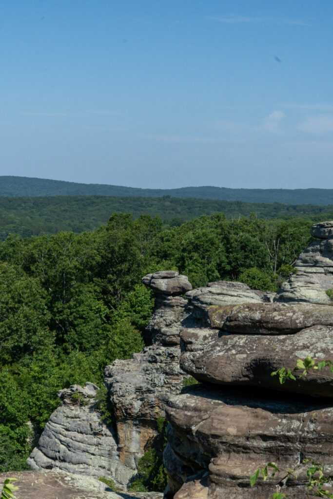 A scenic view of rock formations in the foreground, with dense green forests extending into the distance under a clear blue sky.