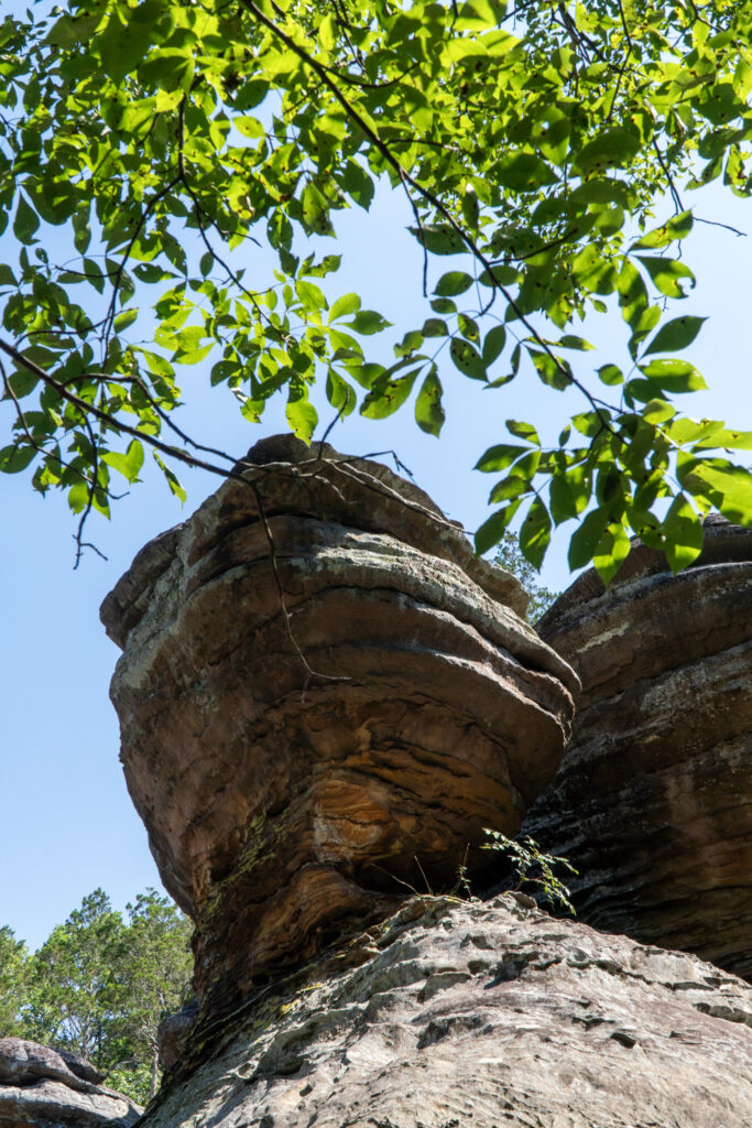 A rugged rock formation with layered, weathered textures stands tall beneath a clear blue sky. Green leaves from overhanging branches partially frame the scene, creating a contrast between the natural stone and lush foliage.